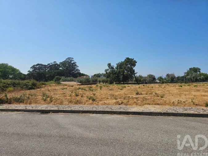 Terreno para Venda em Currelos, Papízios e Sobral Foto 4