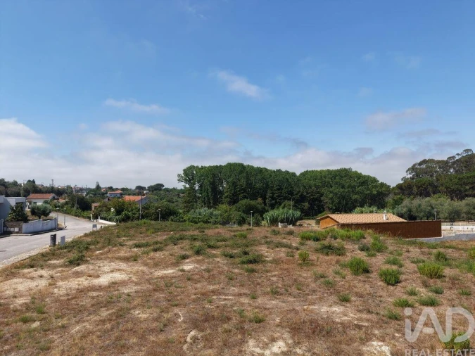 Terreno para Venda em Currelos, Papízios e Sobral Foto 4