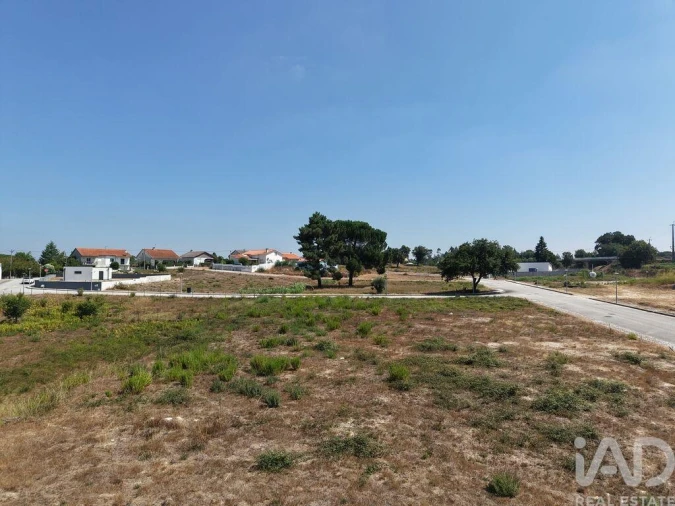 Terreno para Venda em Currelos, Papízios e Sobral Foto 11