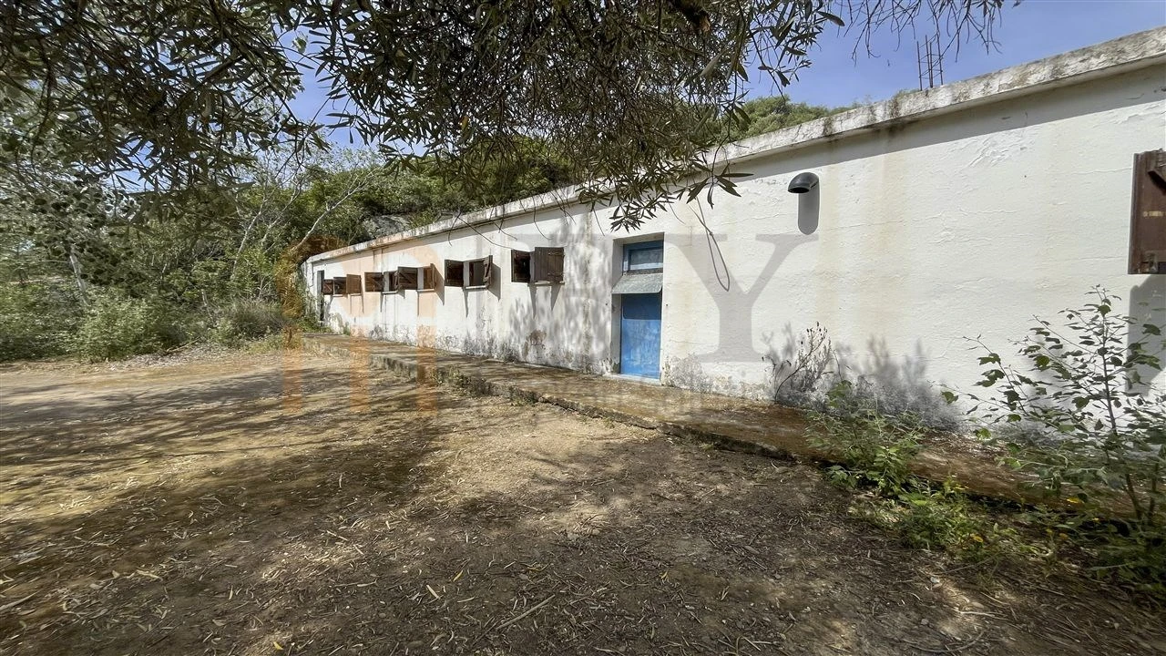 Quinta para Venda em Espirito Santo Foto 4