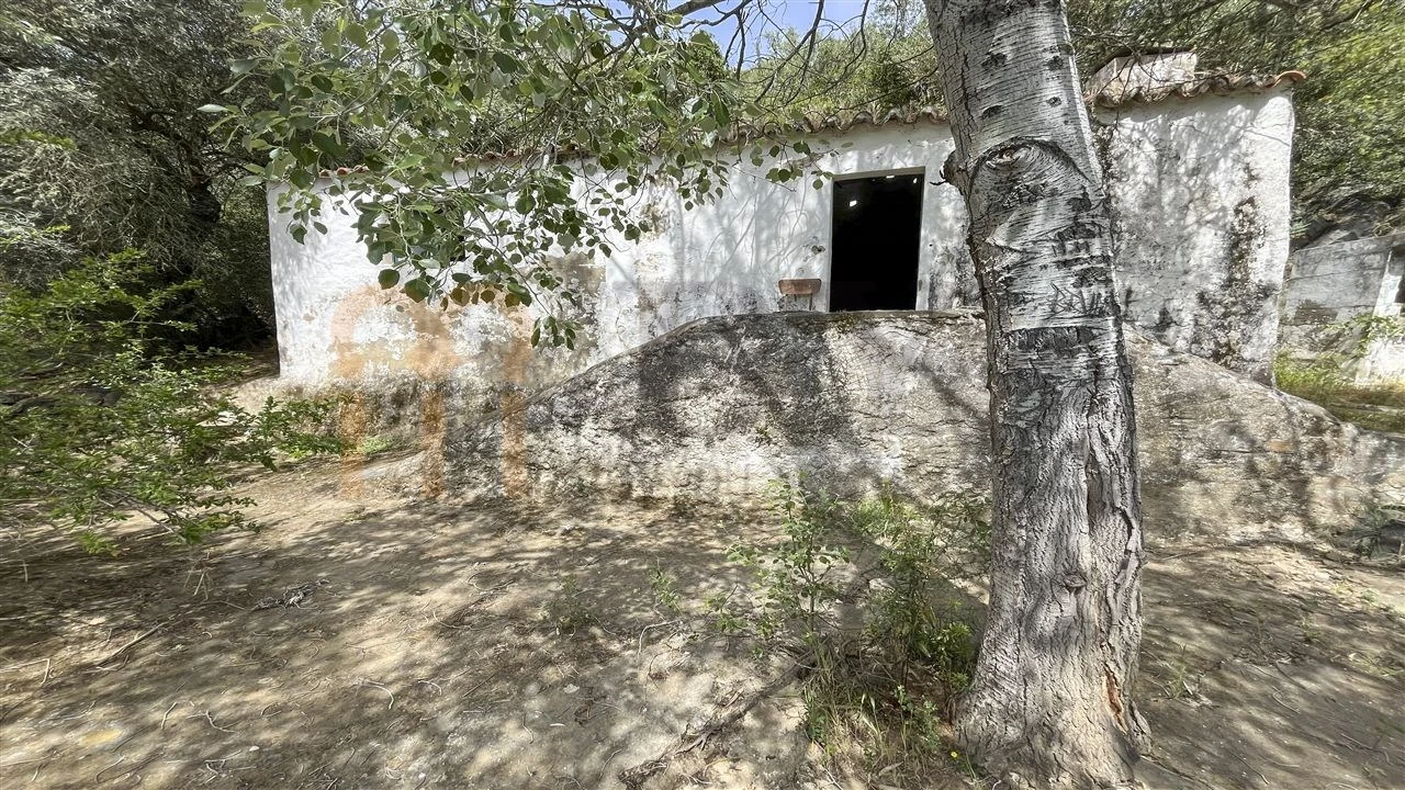 Quinta para Venda em Espirito Santo Foto 7