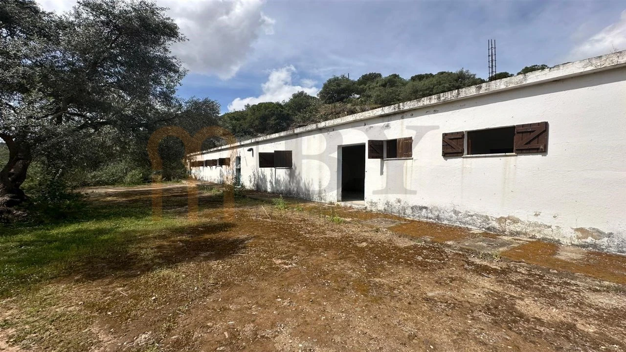 Quinta para Venda em Espirito Santo Foto 19