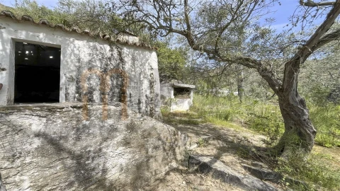 Quinta para Venda em Espirito Santo