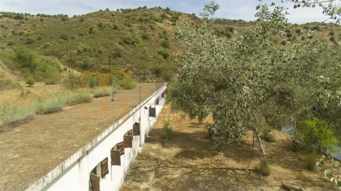 Quinta para Venda em Espirito Santo