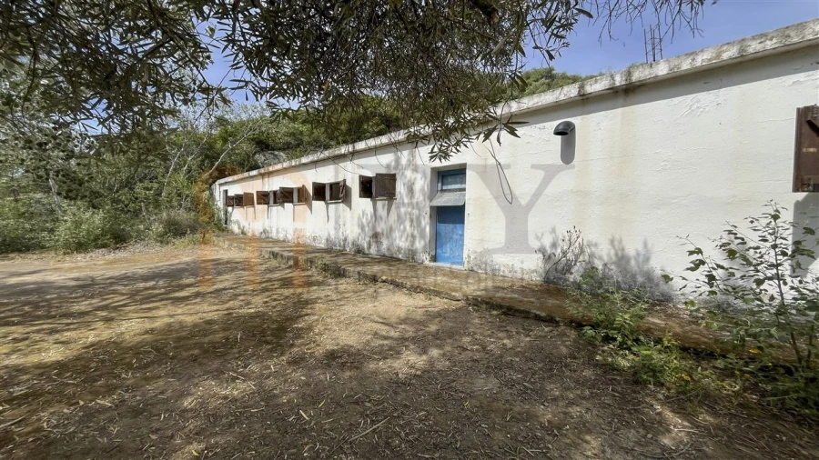 Quinta para Venda em Espirito Santo Foto 4