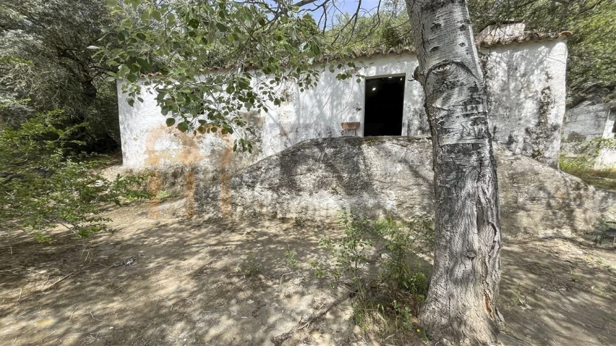 Quinta para Venda em Espirito Santo Foto 7