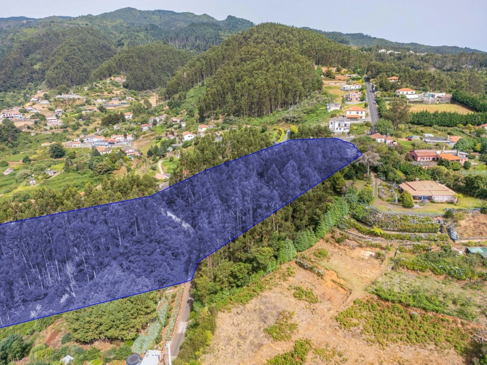 Terreno para Venda em Santo Antonio da Serra Foto 16