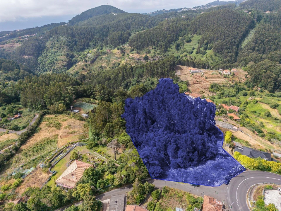 Terreno para Venda em Santo Antonio da Serra Foto 6