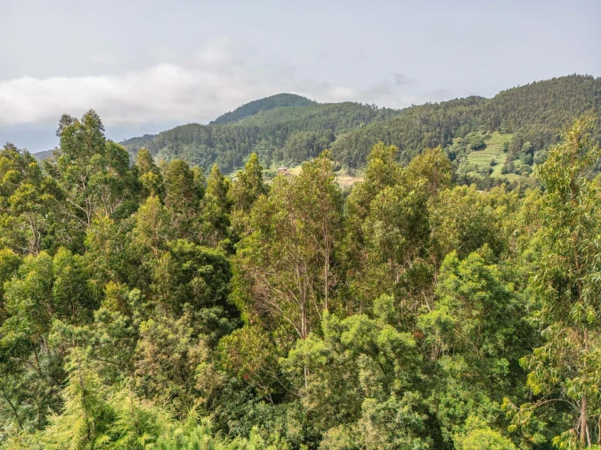 Terreno para Venda em Santo Antonio da Serra Foto 18