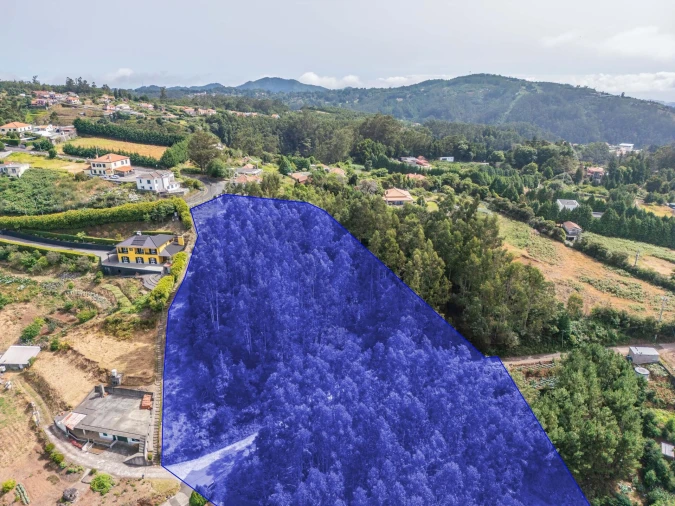 Terreno para Venda em Santo Antonio da Serra Foto 13