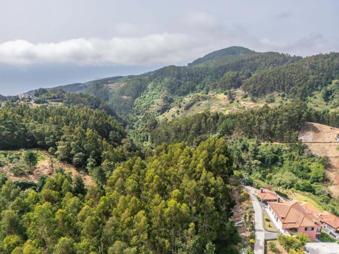 Terreno para Venda em Santo Antonio da Serra Foto 28