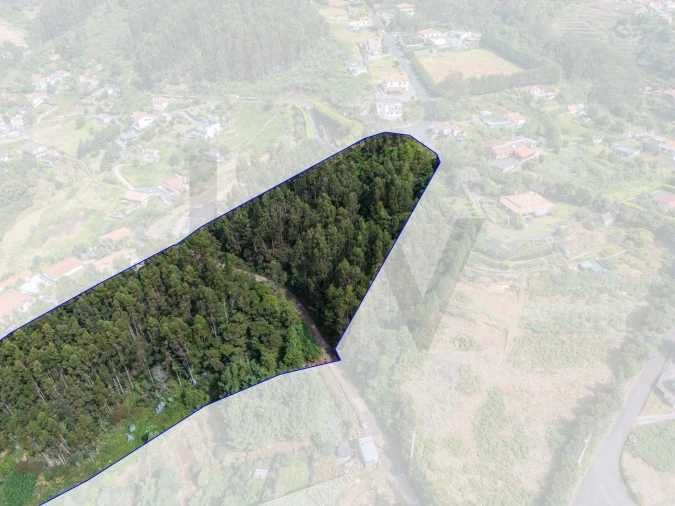 Terreno para Venda em Santo Antonio da Serra Foto 5