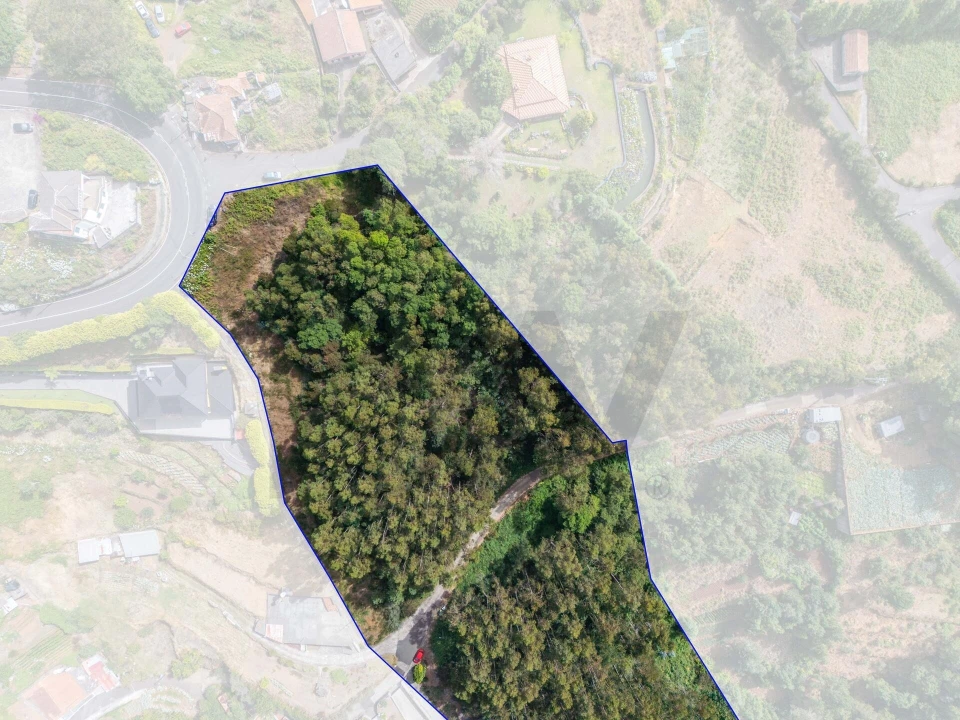 Terreno para Venda em Santo Antonio da Serra Foto 21