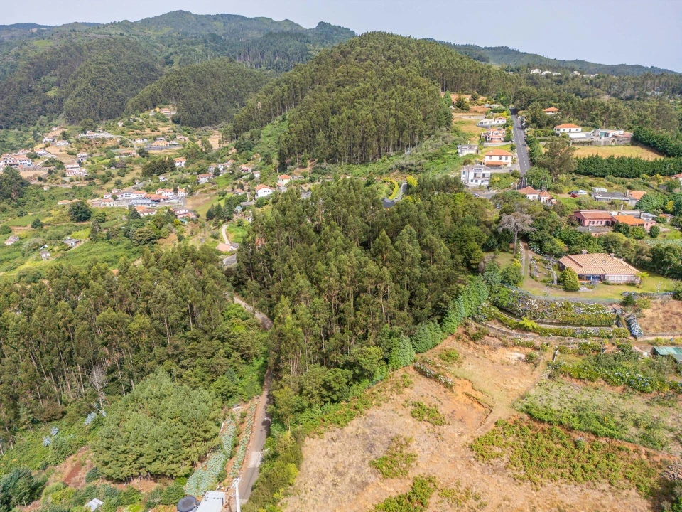 Terreno para Venda em Santo Antonio da Serra Foto 15