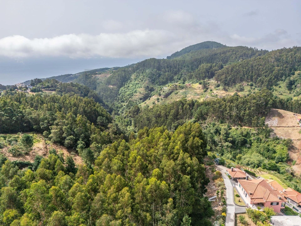 Terreno para Venda em Santo Antonio da Serra Foto 28