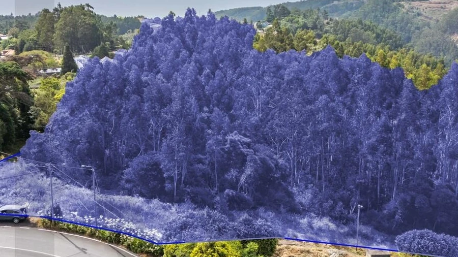 Terreno para Venda em Santo Antonio da Serra