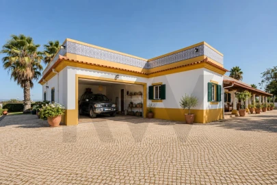 Quinta T5 para Venda em Guia