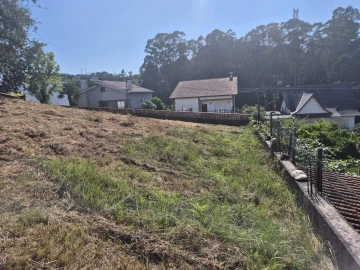 Terreno para Venda em Eiras e São Paulo de Frades