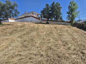 Terreno para Venda em Eiras e São Paulo de Frades