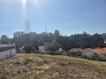 Terreno para Venda em Eiras e São Paulo de Frades