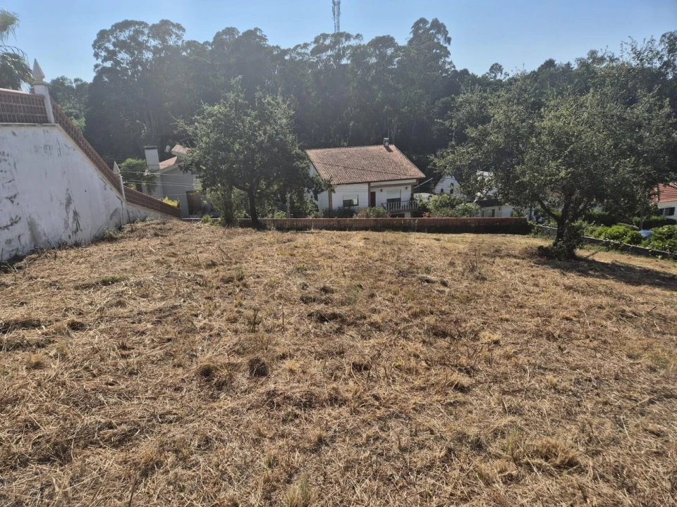 Terreno para Venda em Eiras e São Paulo de Frades Foto 7