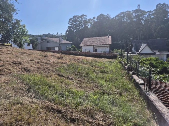 Terreno para Venda em Eiras e São Paulo de Frades Foto 2