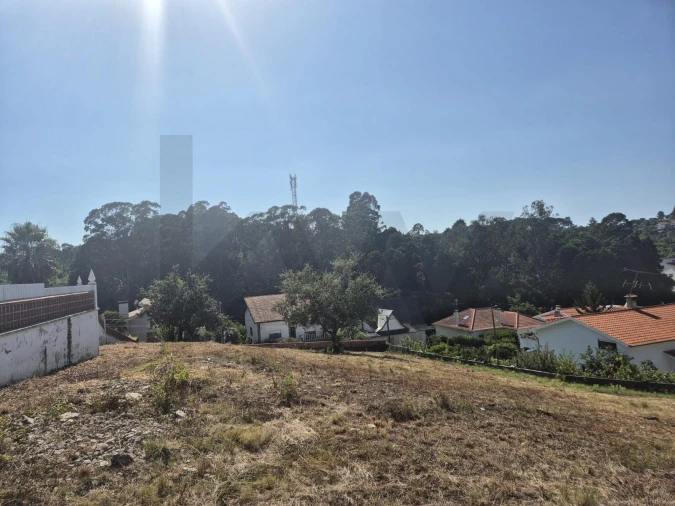 Terreno para Venda em Eiras e São Paulo de Frades Foto 6