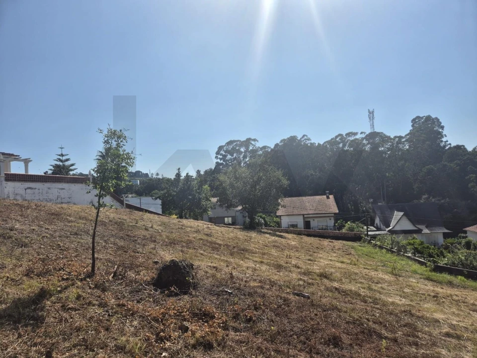 Terreno para Venda em Eiras e São Paulo de Frades Foto 3