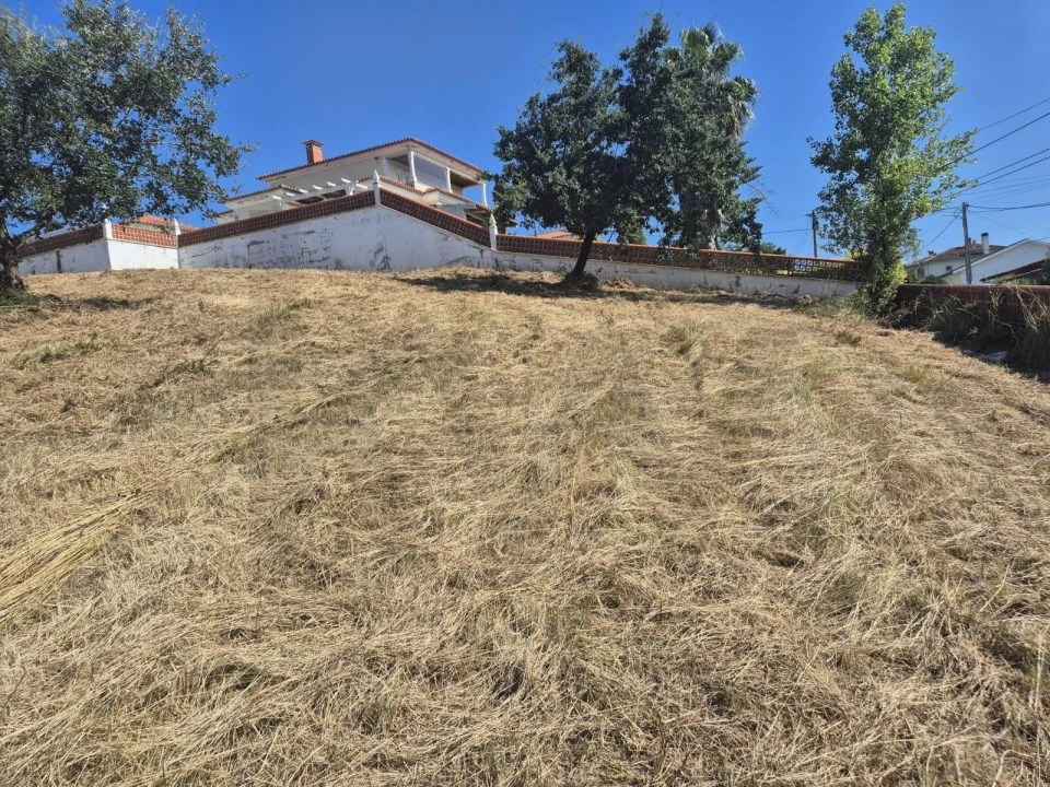 Terreno para Venda em Eiras e São Paulo de Frades Foto 1