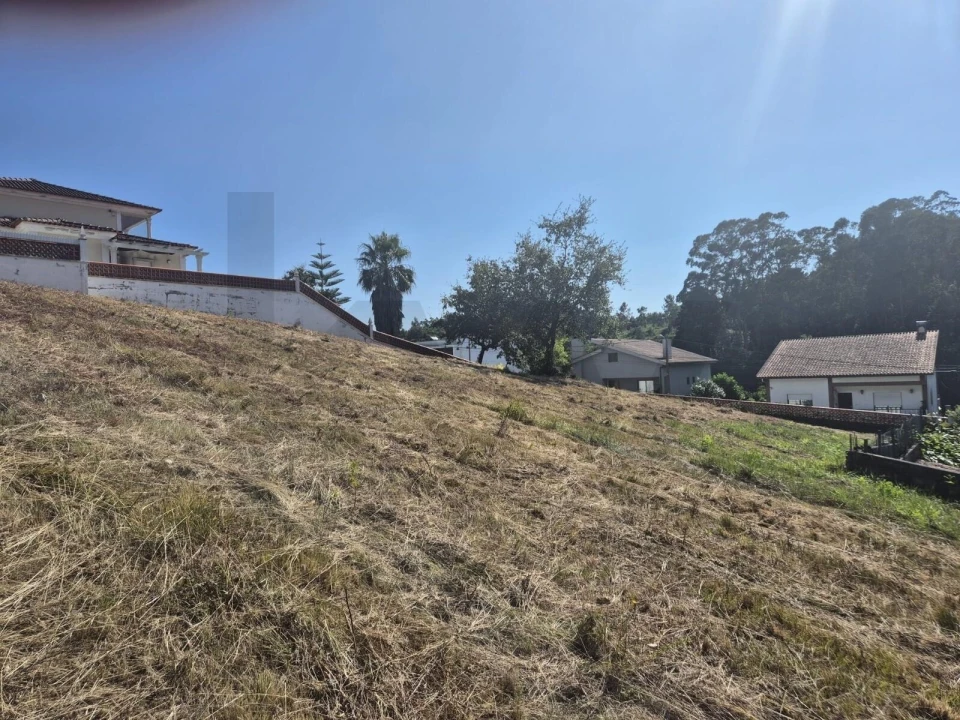 Terreno para Venda em Eiras e São Paulo de Frades Foto 4