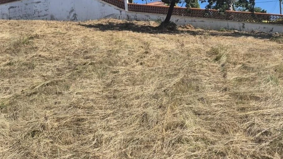 Terreno para Venda em Eiras e São Paulo de Frades