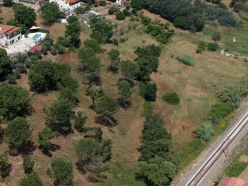 Terreno para Venda em São Pedro de Tomar