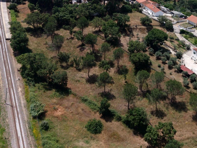 Terreno para Venda em São Pedro de Tomar Foto 7