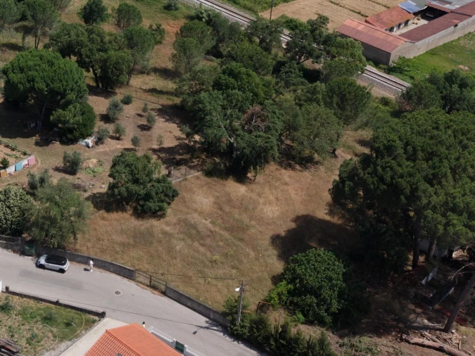 Terreno para Venda em São Pedro de Tomar Foto 6