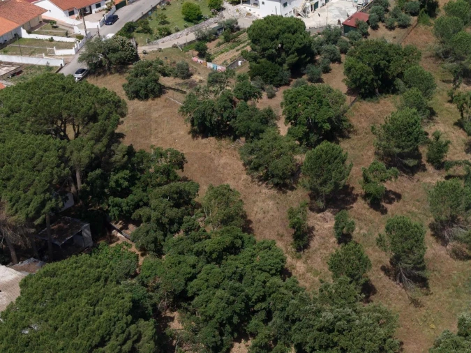 Terreno para Venda em São Pedro de Tomar Foto 5