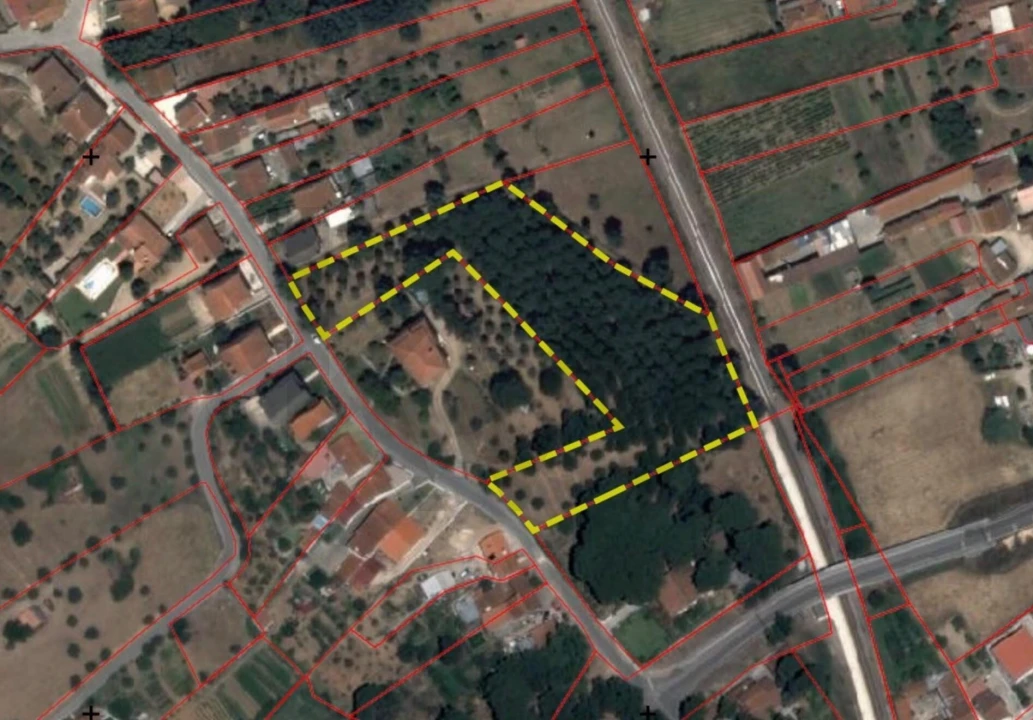 Terreno para Venda em São Pedro de Tomar Foto 8