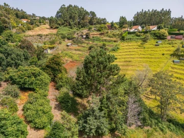 Terreno para Venda em Santo Antonio da Serra
