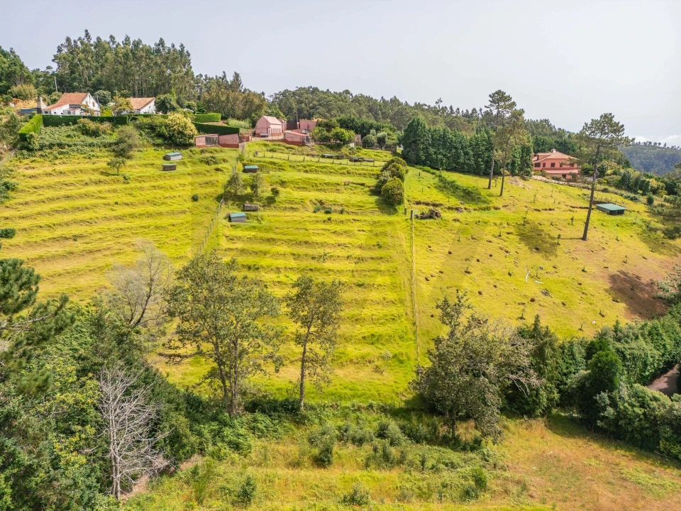 Terreno para Venda em Santo Antonio da Serra Foto 37