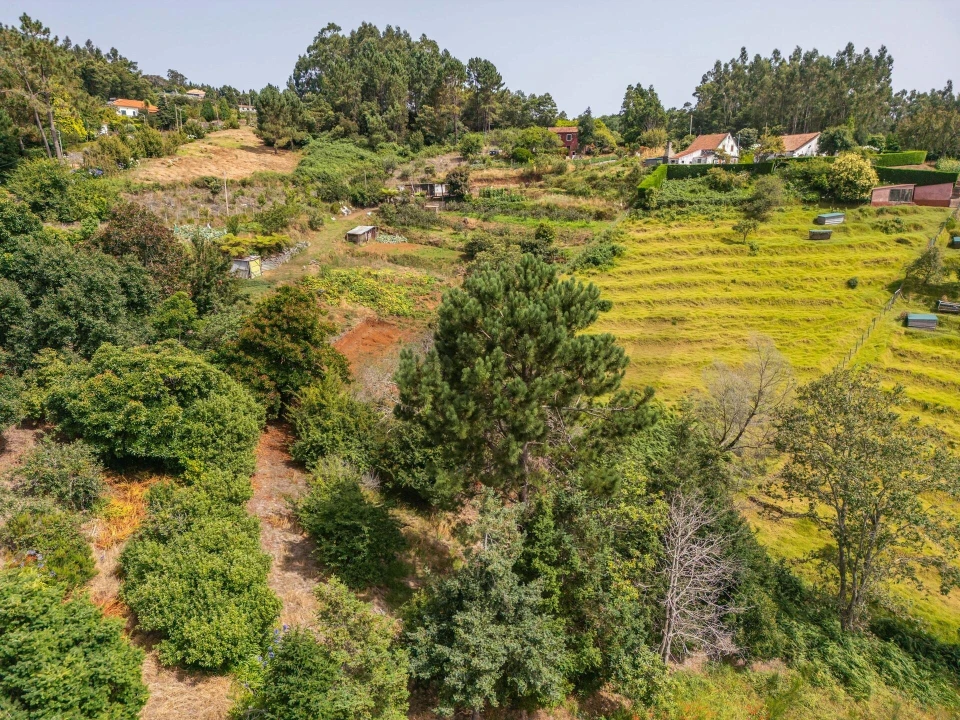 Terreno para Venda em Santo Antonio da Serra Foto 38