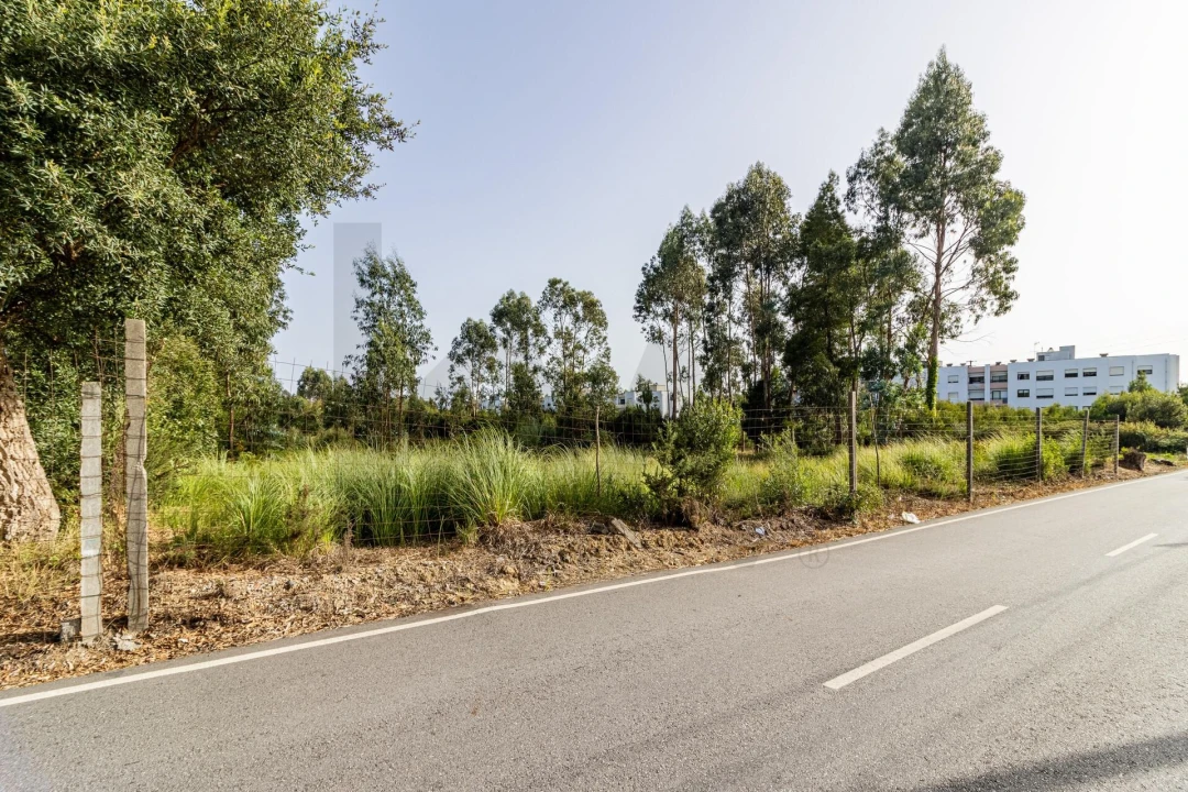 Terreno para Venda em Santa Maria de Lamas Foto 1