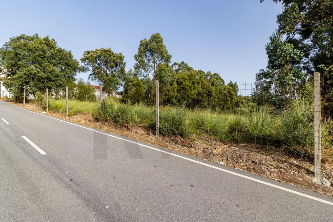 Terreno para Venda em Santa Maria de Lamas Foto 3