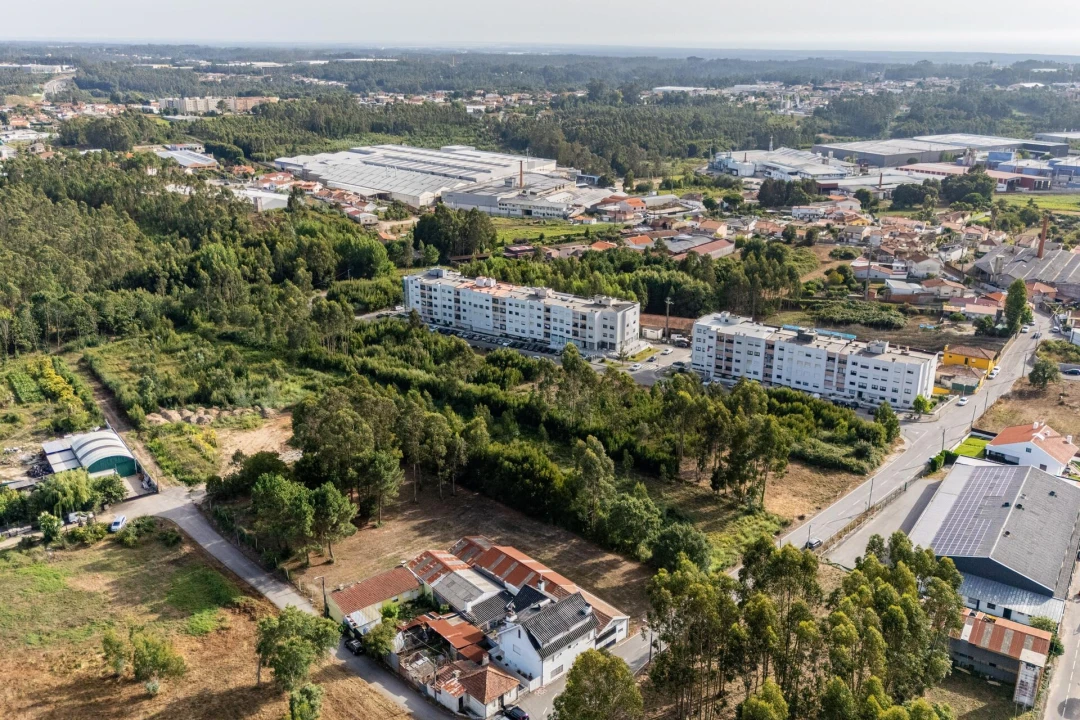 Terreno para Venda em Santa Maria de Lamas Foto 11