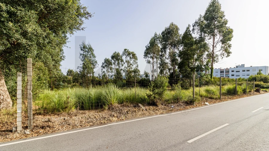 Terreno para Venda em Santa Maria de Lamas