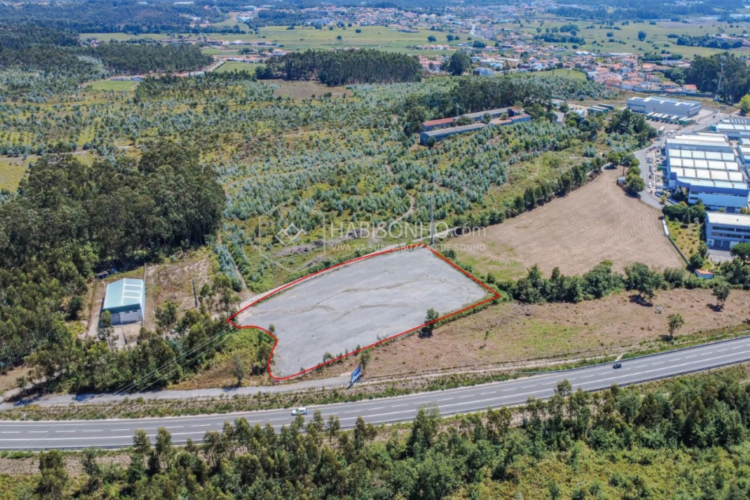 Terreno Agricola ou Rústico para Arrendamento em Coronado (São Romão e São Mamede) Foto 4