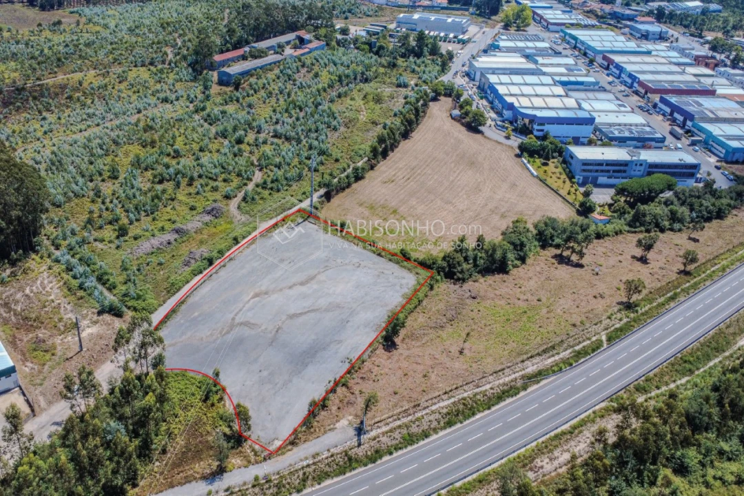 Terreno Agricola ou Rústico para Arrendamento em Coronado (São Romão e São Mamede) Foto 6