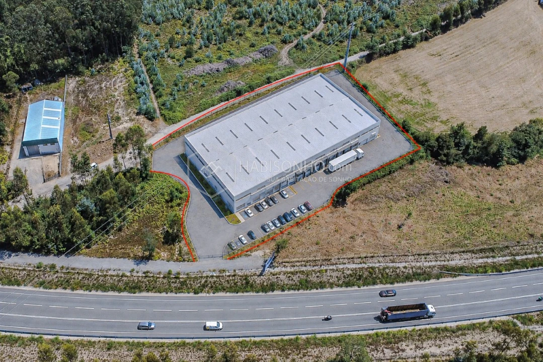 Terreno Agricola ou Rústico para Arrendamento em Coronado (São Romão e São Mamede) Foto 9