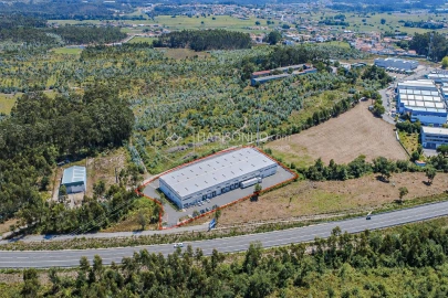 Terreno Agricola ou Rústico para Arrendamento em Coronado (São Romão e São Mamede)