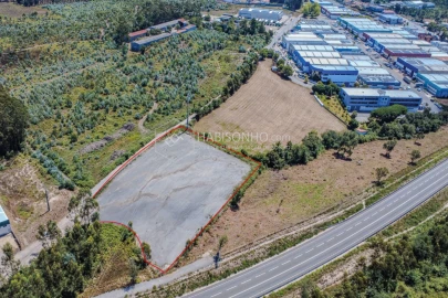 Terreno Agricola ou Rústico para Arrendamento em Coronado (São Romão e São Mamede)