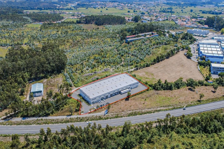 Terreno Agricola ou Rústico para Arrendamento em Coronado (São Romão e São Mamede) Foto 5