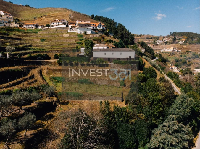 Moradia T4 para Venda em Sever Planta 1